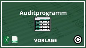 Auditprogramm Vorlage Excel